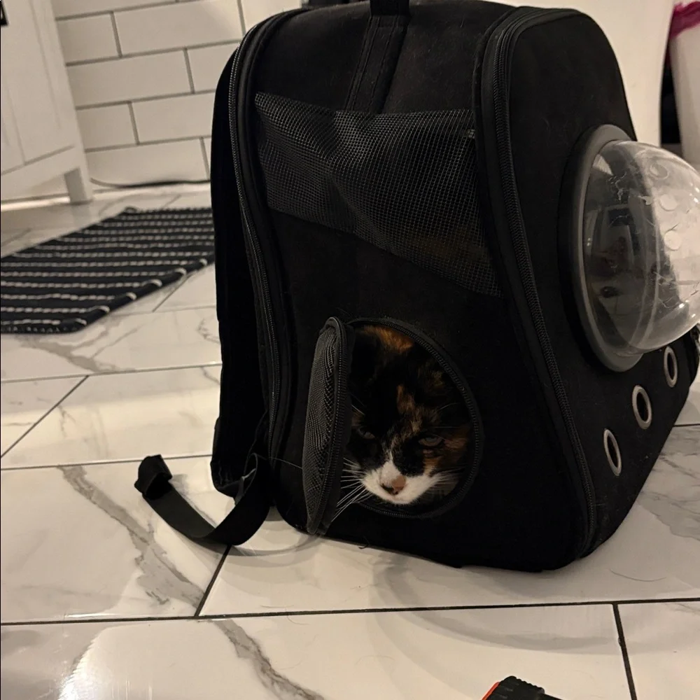 Black pet carrier with Bubble Window
